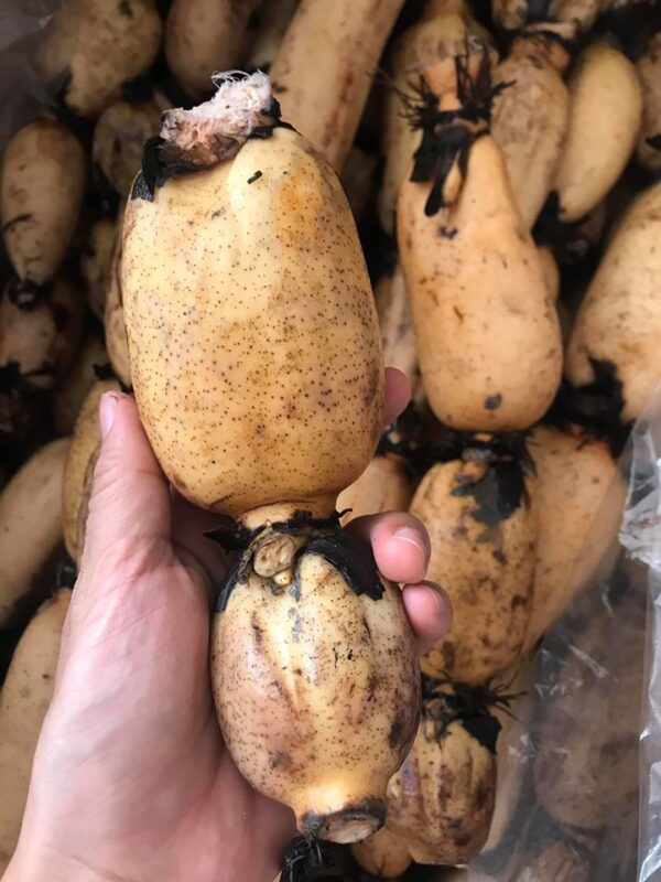 7 loại rau củ gần như không có thuốc trừ sâu: Chợ Việt bán nhiều vô kể, bạn cứ mạnh dạn mua 7 loai rau cu gan nhu khong co thuoc tru sau cho viet ban nhieu vo ke ban cu manh dan mua