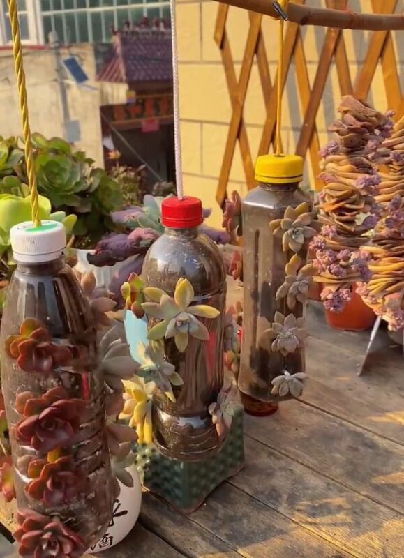 Bức ảnh chụp "chai nhựa nở hoa" khiến cô gái bình thường vụt nổi tiếng 1 Bức ảnh chụp "chai nhựa nở hoa" khiến cô gái bình thường vụt nổi tiếng