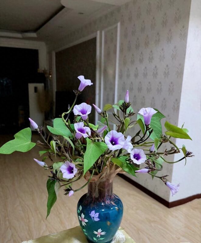 Bức ảnh chụp ở phòng khách lúc 12 giờ đêm khiến 1 cô gái bình thường bỗng nổi tiếng 1 Bức ảnh chụp ở phòng khách lúc 12 giờ đêm khiến 1 cô gái bình thường bỗng nổi tiếng
