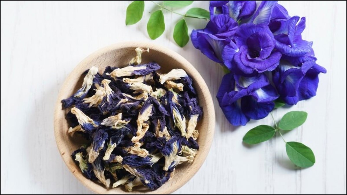 1 loại phẩm màu tự nhiên được Mỹ phê duyệt, đem pha trà uống từ giờ đến hè chị em hưởng lợi đủ đường: Làn da, vóc dáng đều đẹp- Ảnh 2. 1 loại phẩm màu tự nhiên được Mỹ phê duyệt, đem pha trà uống từ giờ đến hè chị em hưởng lợi đủ đường: Làn da, vóc dáng đều đẹp- Ảnh 2.