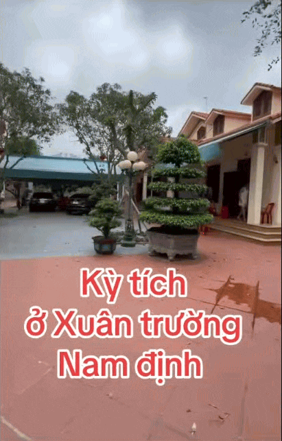 5 anh em chung sống hòa thuận trong 1 khu đất, xây 5 căn nhà giống hệt nhau ở Nam Định gây sốt MXH: Bí quyết nằm ở nhân vật đặc biệt này? 5 anh em chung song hoa thuan trong 1 khu dat xay 5 can nha giong het nhau o nam dinh gay sot mxh bi quyet nam o nhan vat dac biet nay