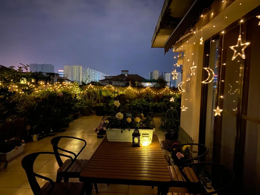 Chịu áp lực suốt thời gian dài, mẹ đảm tìm đến việc làm vườn và biến sân thượng thành thiên đường hoa trái- Ảnh 15. Chịu áp lực suốt thời gian dài, mẹ đảm tìm đến việc làm vườn và biến sân thượng thành thiên đường hoa trái- Ảnh 15.