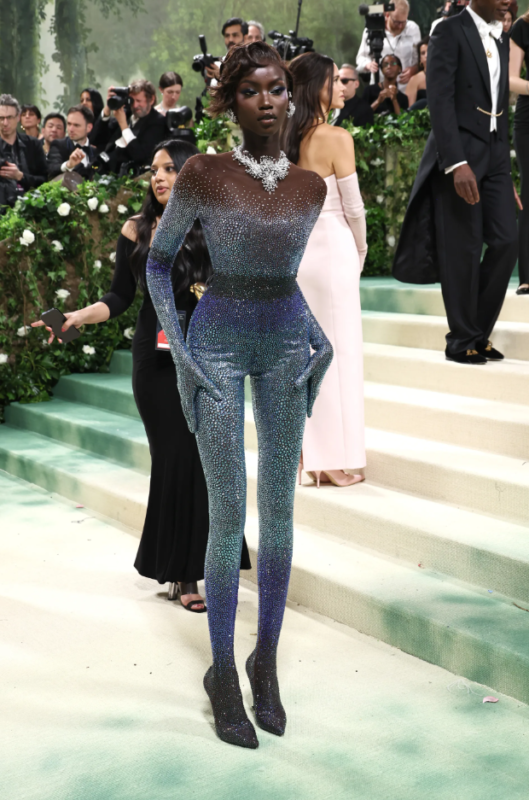Cô gái vướng drama với Jennie: Năm trước vác 98.000 viên pha lê đi Met Gala, năm nay có còn "chiếm sóng"? 1 Cô gái vướng drama với Jennie: Năm trước vác 98.000 viên pha lê đi Met Gala, năm nay có còn "chiếm sóng"? co gai vuong drama voi jennie nam truoc vac 98 000 vien pha le di met gala nam nay co con chiem song