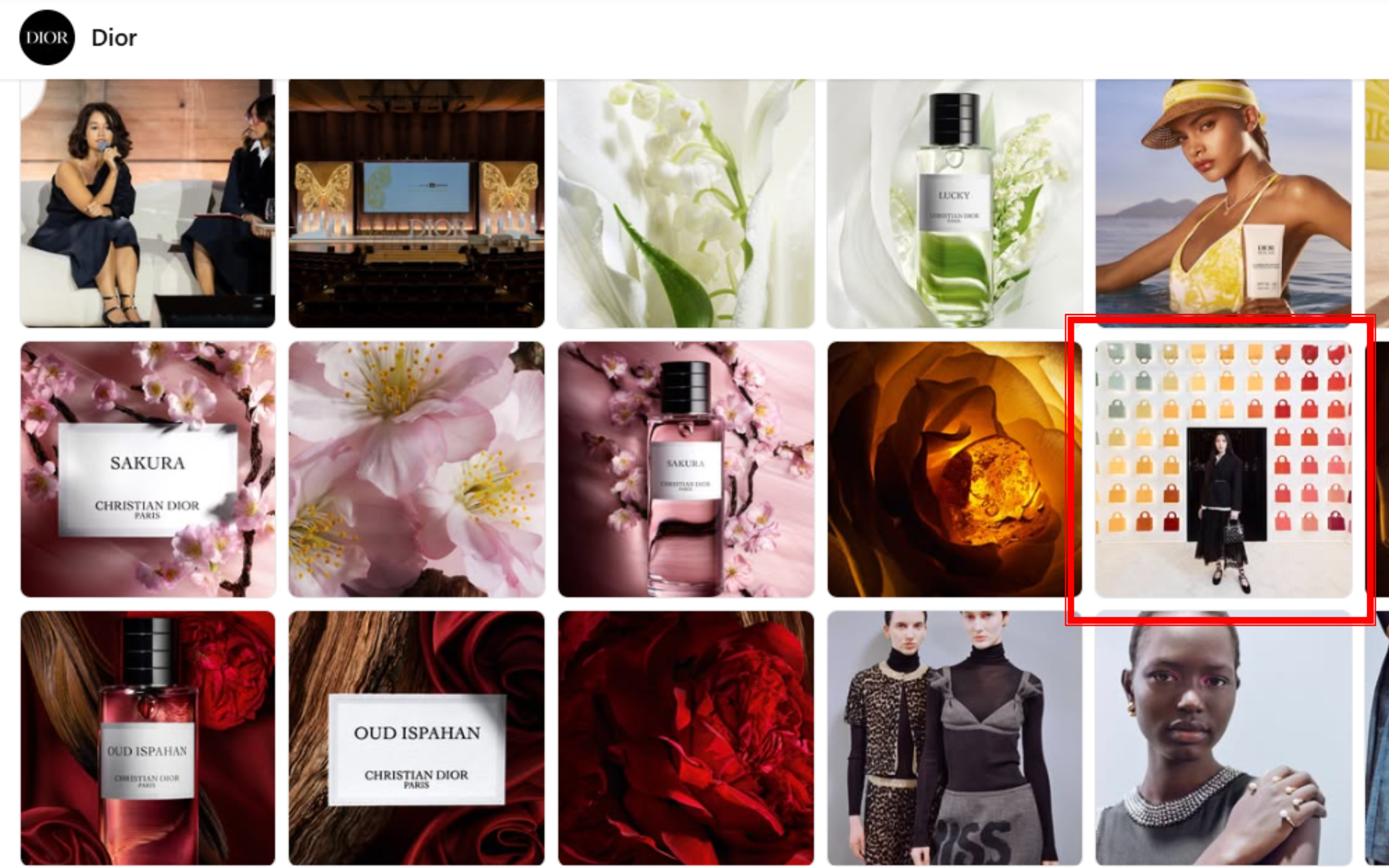 Cuộc tình này đúng là sai vì Dior lại xoá ảnh Thuỳ Tiên mất rồi!- Ảnh 6. Cuộc tình này đúng là sai vì Dior lại xoá ảnh Thuỳ Tiên mất rồi!- Ảnh 6.