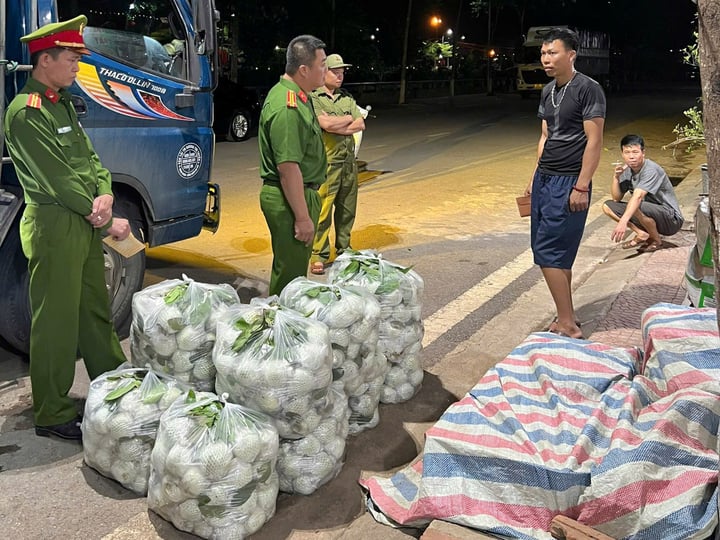 Rau củ chứa hóa chất liên tục bị phát hiện: 15 loại rau củ được đánh giá là ít tồn dư thuốc trừ sâu nhất- Ảnh 2. Rau củ chứa hóa chất liên tục bị phát hiện: 15 loại rau củ được đánh giá là ít tồn dư thuốc trừ sâu nhất- Ảnh 2.