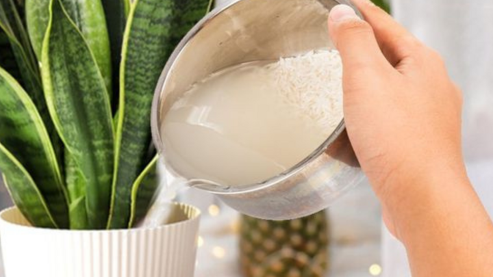 Đây mới là "đỉnh cao tối giản": Người phụ nữ 57 tuổi khiến cả mạng xã hội ngả mũ- Ảnh 2. Đây mới là "đỉnh cao tối giản": Người phụ nữ 57 tuổi khiến cả mạng xã hội ngả mũ- Ảnh 2.