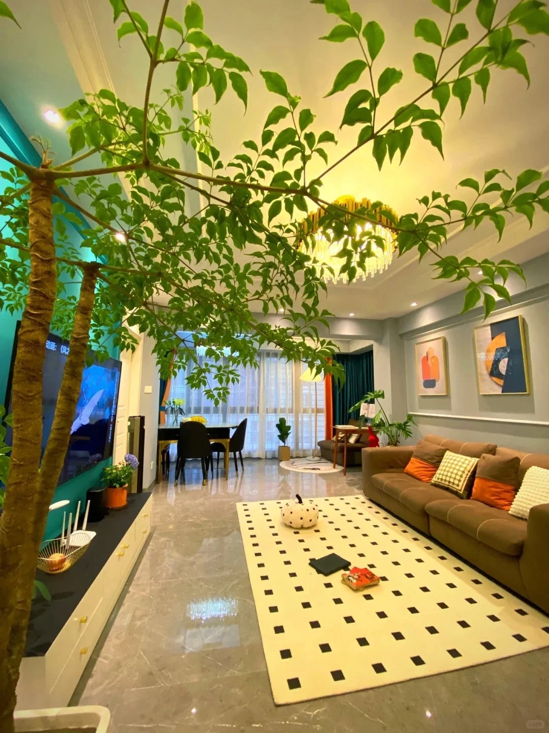 Khuyên thật lòng: Phòng khách trồng đúng 3 cây này, vượng khí dâng cao, tiền về như nước- Ảnh 1.