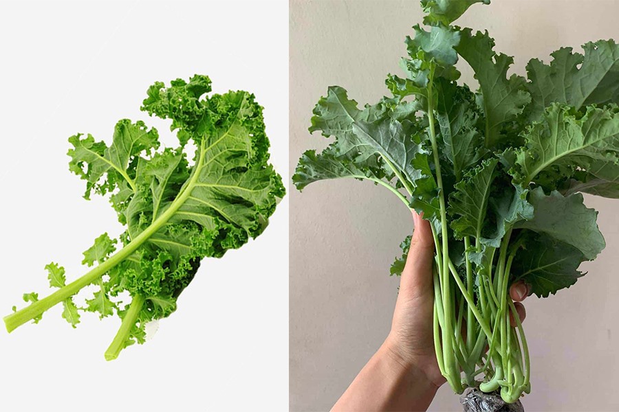 Sau tuổi 50 vẫn giữ được dáng săn chắc, làn da mượt mà: Bí quyết của nữ hoàng nhạc đồng quê là không thể thiếu một loại rau trong bữa ăn- Ảnh 4. Sau tuổi 50 vẫn giữ được dáng săn chắc, làn da mượt mà: Bí quyết của nữ hoàng nhạc đồng quê là không thể thiếu một loại rau trong bữa ăn- Ảnh 4.