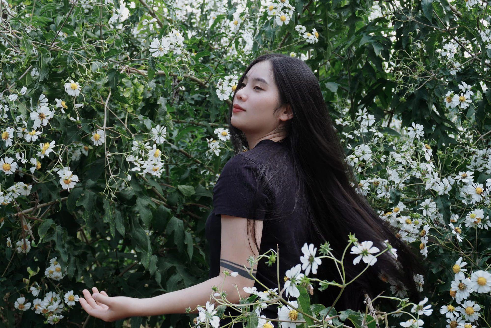 Từng bị hư tổn, gãy rụng cả búi do nhuộm tẩy tóc, cô nàng Từng bị hư tổn, gãy rụng cả búi do nhuộm tẩy tóc, cô nàng