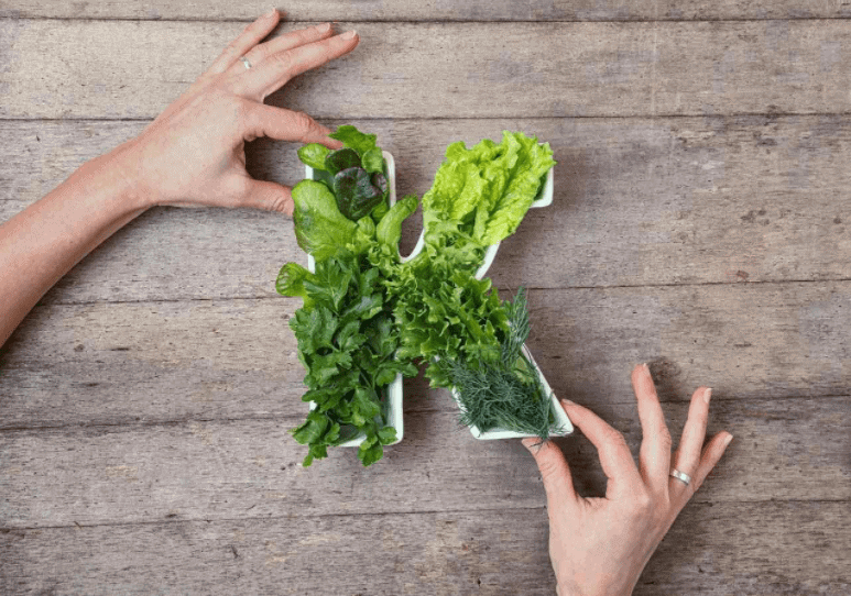 Lý do vitamin K có tác dụng chống lão hóa và dấu hiệu cho thấy bạn đang bị thiếu vitamin này: 2 độ tuổi đặc biệt cần bổ sung- Ảnh 2. Lý do vitamin K có tác dụng chống lão hóa và dấu hiệu cho thấy bạn đang bị thiếu vitamin này: 2 độ tuổi đặc biệt cần bổ sung- Ảnh 2.