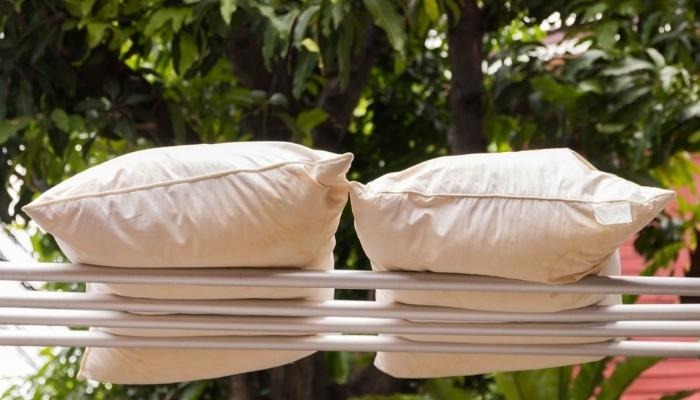 Hai món đồ trên giường là ổ vi khuẩn, bẩn dai dẳng nhưng 80% người dùng bỏ qua việc vệ sinh hai mon do tren giuong la o vi khuan ban dai dang nhung 80 nguoi dung bo qua viec ve sinh