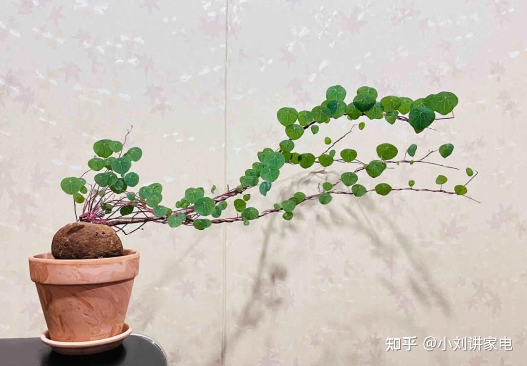 8 mẹo “thay đồ” cực rẻ của người dì trung niên: Chi phí chỉ bằng 1/10 mà hiệu quả không ngờ- Ảnh 6.