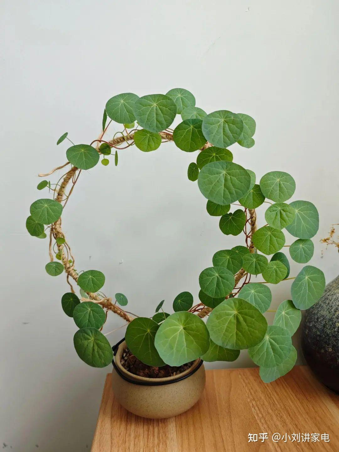 8 mẹo “thay đồ” cực rẻ của người dì trung niên: Chi phí chỉ bằng 1/10 mà hiệu quả không ngờ- Ảnh 7.