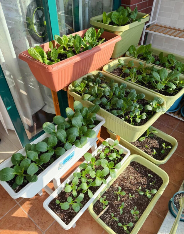 Ấn tượng với bí quyết tiết kiệm của người dì 50 tuổi: Không hề tiêu nhiều mà cuộc sống vẫn hạnh phúc 1 Ấn tượng với bí quyết tiết kiệm của người dì 50 tuổi: Không hề tiêu nhiều mà cuộc sống vẫn hạnh phúc an tuong voi bi quyet tiet kiem cua nguoi di 50 tuoi khong he tieu nhieu ma cuoc song van hanh phuc