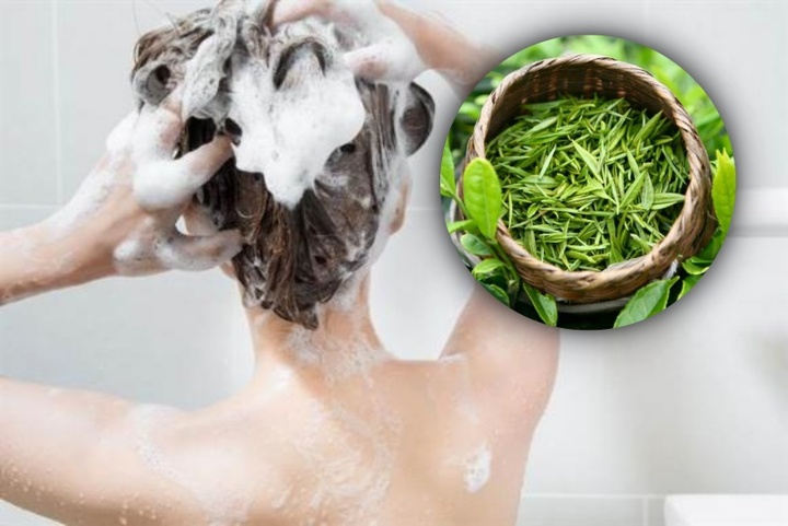Cách gội đầu bằng lá trà xanh giúp giảm rụng tóc- Ảnh 1.