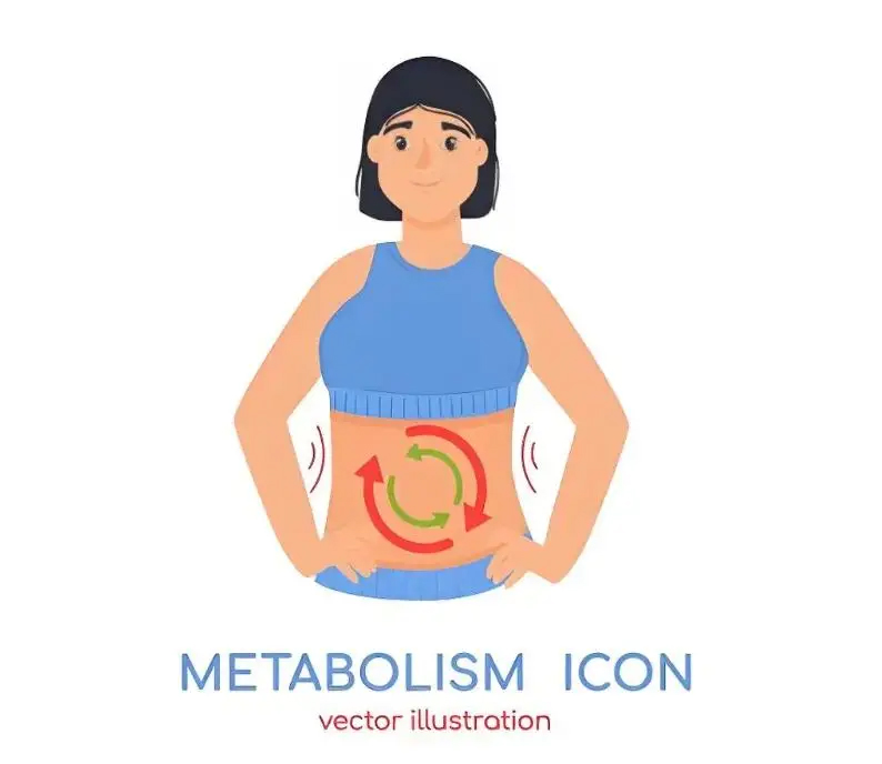 Giảm cân một chút mỗi ngày! 3 loại 