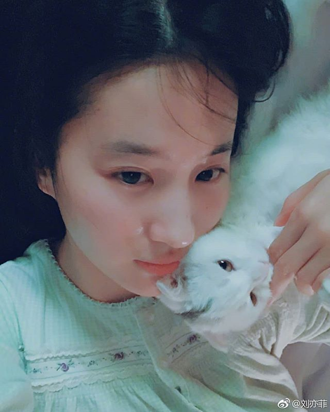 Mặt mộc gần đây của Lưu Diệc Phi- Ảnh 10.