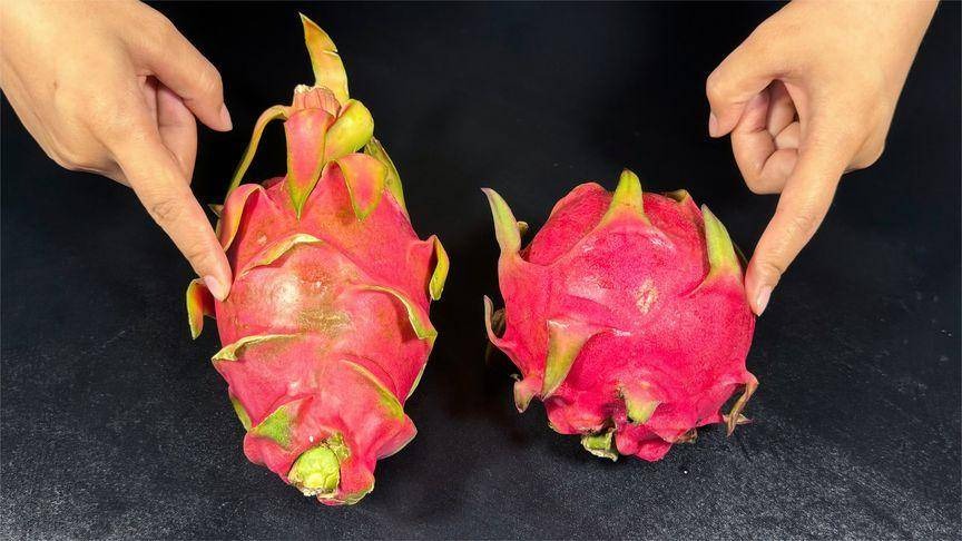Mua thanh long thấy quả dài - quả ngắn, ruột trắng - ruột đỏ? Chủ vườn chỉ cách chọn "ngon quên lối về"! mua thanh long thay qua dai qua ngan ruot trang ruot do chu vuon chi cach chon ngon quen loi ve