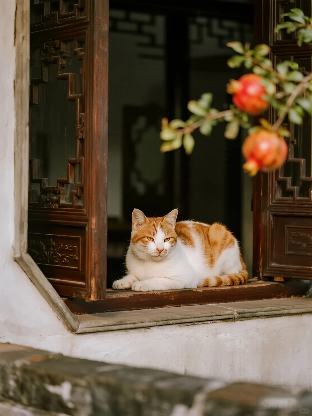 Tại sao người xưa tin rằng trồng cây lựu trước nhà sẽ sinh con đàn cháu đống, tiền tài viên mãn?- Ảnh 5.