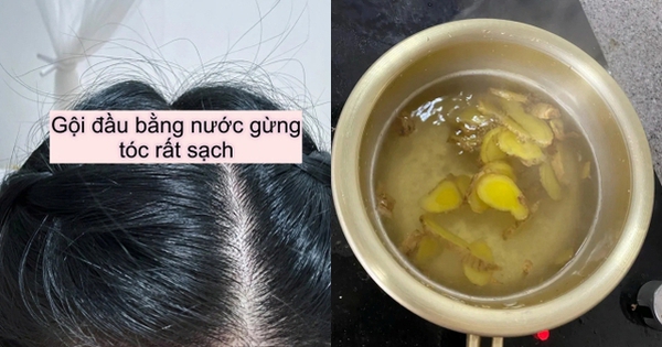 Tôi đun nước gừng để gội đầu, lần đầu tiên tóc rụng kinh khủng nhưng đến lần thứ 3 thì có sự thay đổi đến khó tin toi dun nuoc gung de goi dau lan dau tien toc rung kinh khung nhung den lan thu 3 thi co su thay doi den kho tin