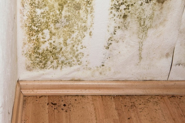 6 dấu hiệu nhận biết âm khí trong nhà: Làm ăn khó phát, con cái thiếu duyên- Ảnh 2. 6 dấu hiệu nhận biết âm khí trong nhà: Làm ăn khó phát, con cái thiếu duyên- Ảnh 2.