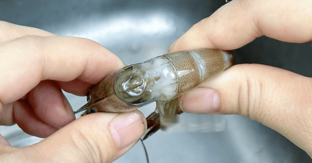 Tôm có 1 bộ phận cực bẩn mà chuyên gia khuyên nên vứt bỏ, 2 mẹo đơn giản giúp bạn xử lý cực nhanh- Ảnh 2.