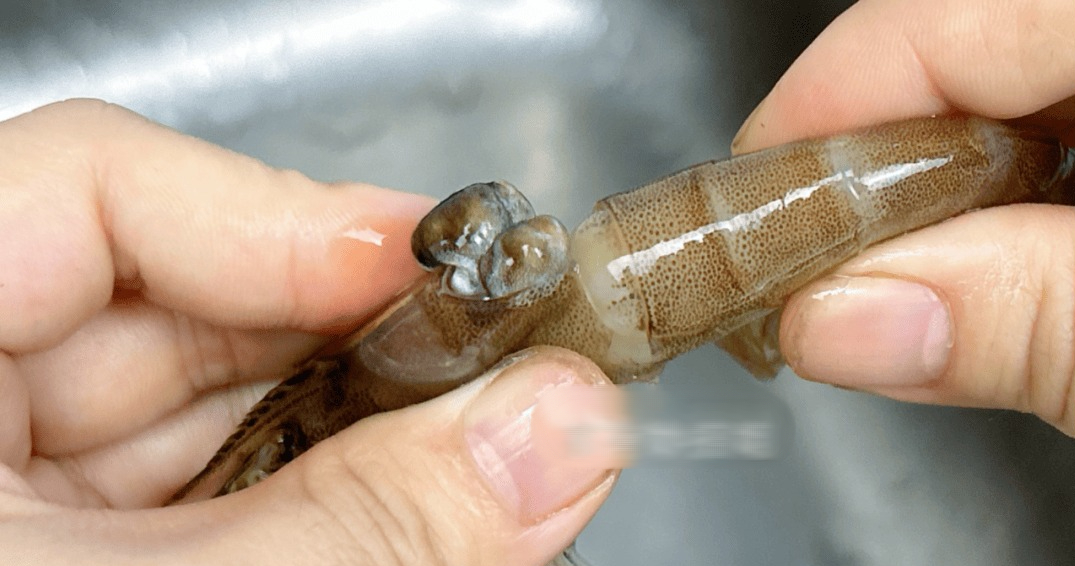 Tôm có 1 bộ phận cực bẩn mà chuyên gia khuyên nên vứt bỏ, 2 mẹo đơn giản giúp bạn xử lý cực nhanh- Ảnh 3.