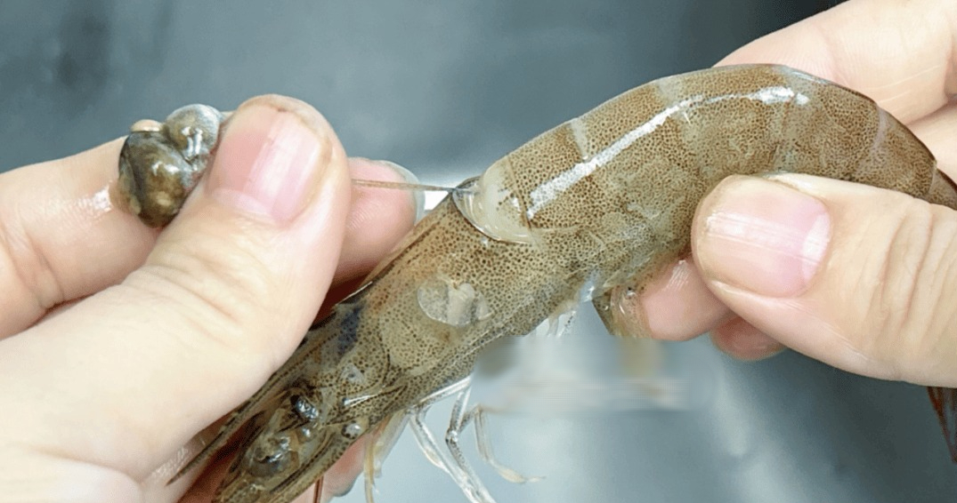 Tôm có 1 bộ phận cực bẩn mà chuyên gia khuyên nên vứt bỏ, 2 mẹo đơn giản giúp bạn xử lý cực nhanh- Ảnh 4.