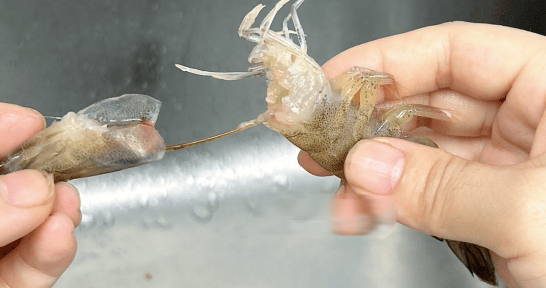 Tôm có 1 bộ phận cực bẩn mà chuyên gia khuyên nên vứt bỏ, 2 mẹo đơn giản giúp bạn xử lý cực nhanh- Ảnh 6.